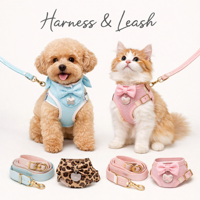 Harness & Leash
