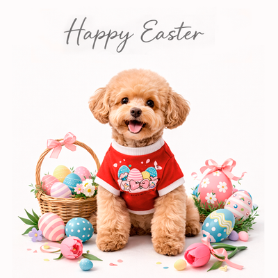 Vibrant Bunny Print Pet - Happy Easter