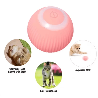 Smart Electric Rolling Ball Dog/Cat Toy