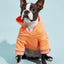 Casual Dog Sweatshirt with Raglan Sleeves and Yellow and Blue Color Blocks, Suitable for Dogs