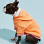 Casual Dog Sweatshirt with Raglan Sleeves and Yellow and Blue Color Blocks, Suitable for Dogs