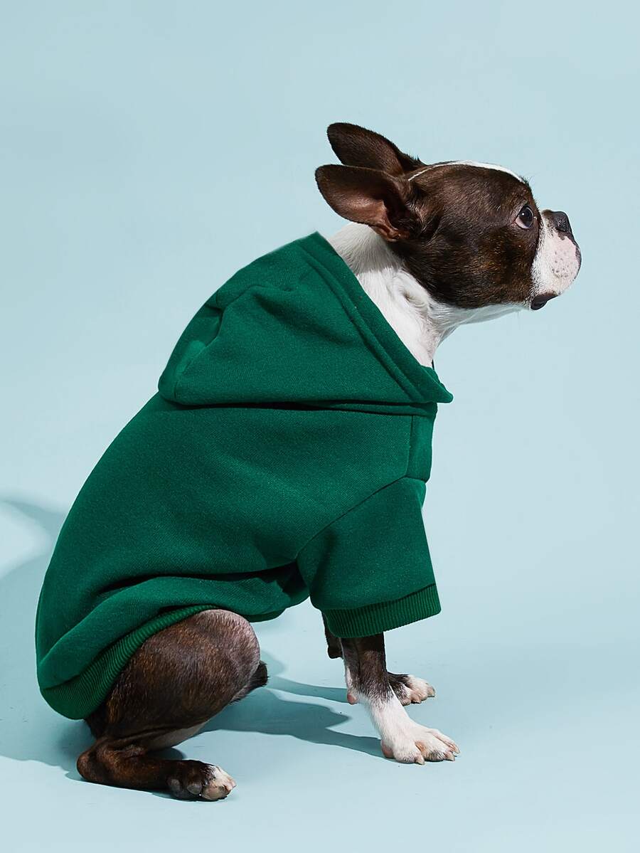 Casual Dog Sweatshirt with Raglan Sleeves and Yellow and Blue Color Blocks, Suitable for Dogs