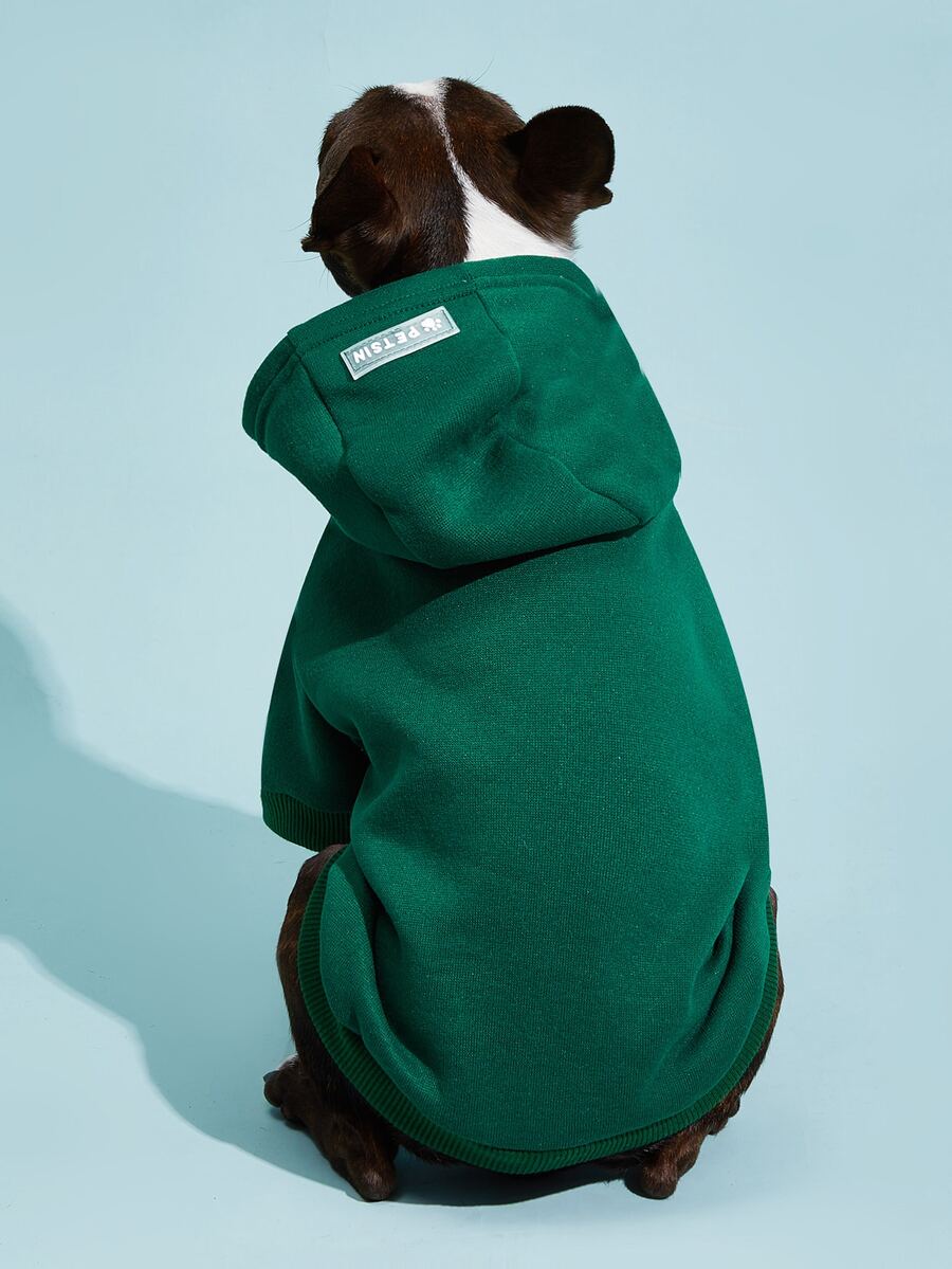 Casual Dog Sweatshirt with Raglan Sleeves and Yellow and Blue Color Blocks, Suitable for Dogs