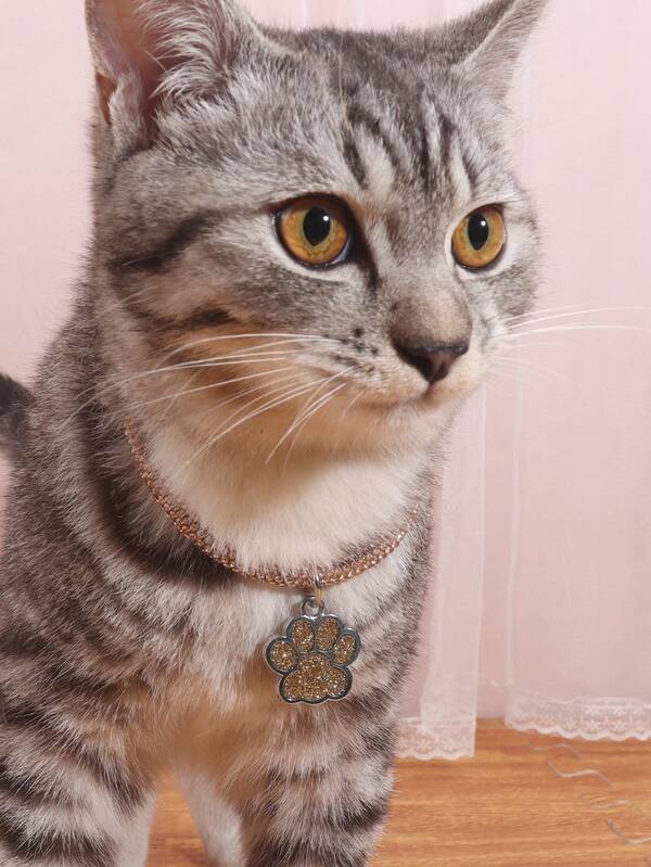 Elegant and fashionable rhinestone claw pendant necklace, suitable for cats and dogs, for wearing at home and outdoors.