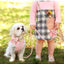 Luxury Corduroy Pet Set: Harness, Bowtie Collar & Leash Combo