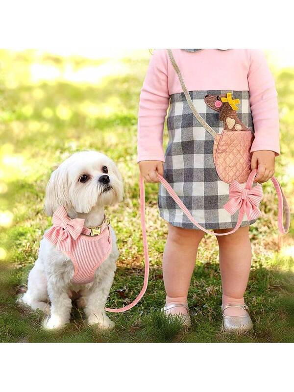 Luxury Corduroy Pet Set: Harness, Bowtie Collar & Leash Combo