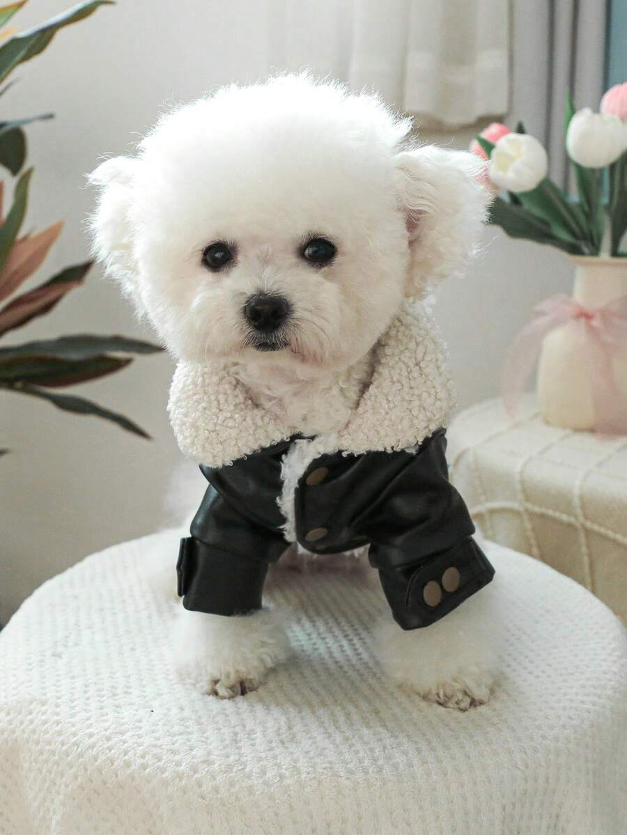 Black Faux Fur Fleece Lined Embroidery Pet Jacket Friendly with Leash Autumn/Winter