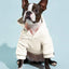 Casual Dog Sweatshirt with Raglan Sleeves and Yellow and Blue Color Blocks, Suitable for Dogs