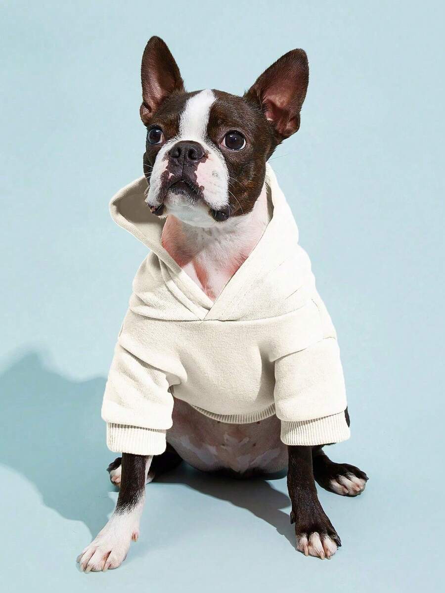 Casual Dog Sweatshirt with Raglan Sleeves and Yellow and Blue Color Blocks, Suitable for Dogs