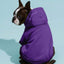 Casual Dog Sweatshirt with Raglan Sleeves and Yellow and Blue Color Blocks, Suitable for Dogs