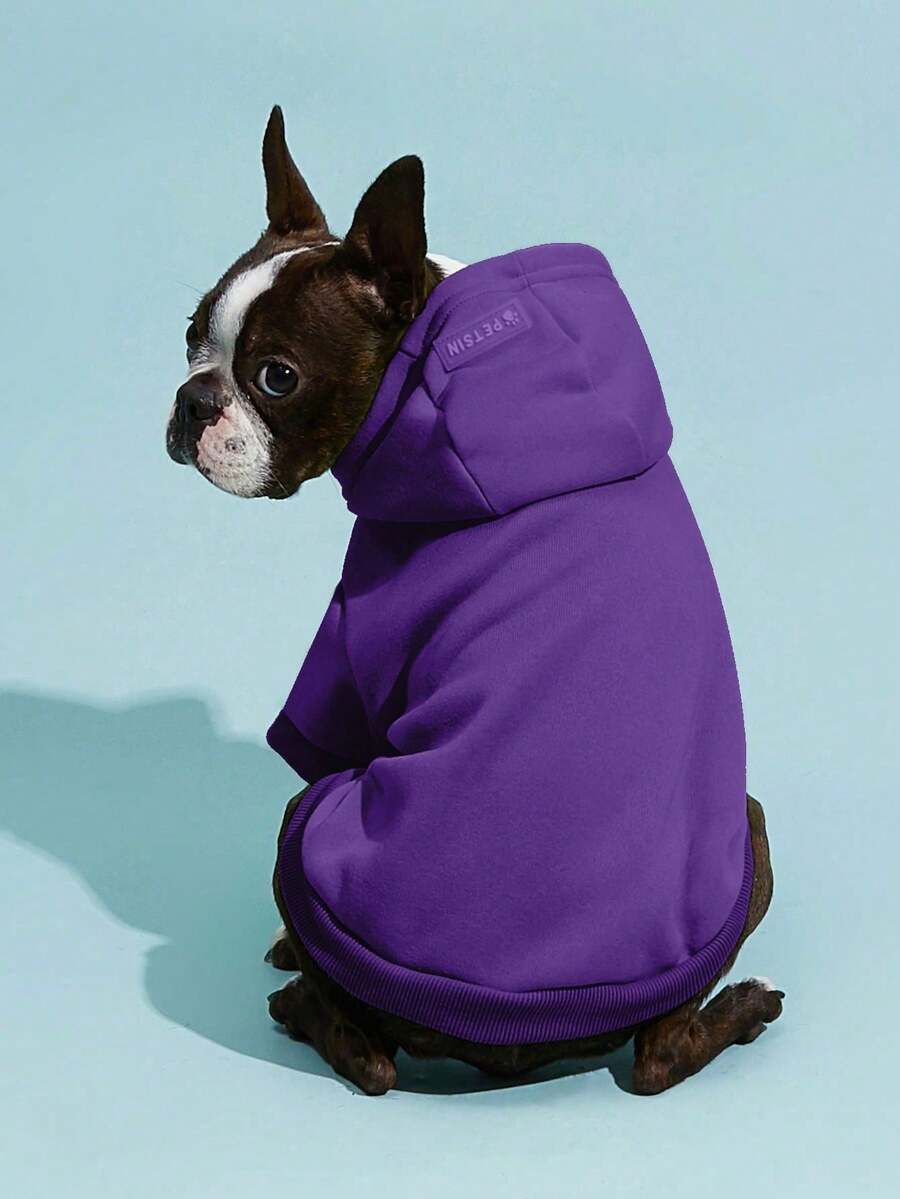 Casual Dog Sweatshirt with Raglan Sleeves and Yellow and Blue Color Blocks, Suitable for Dogs