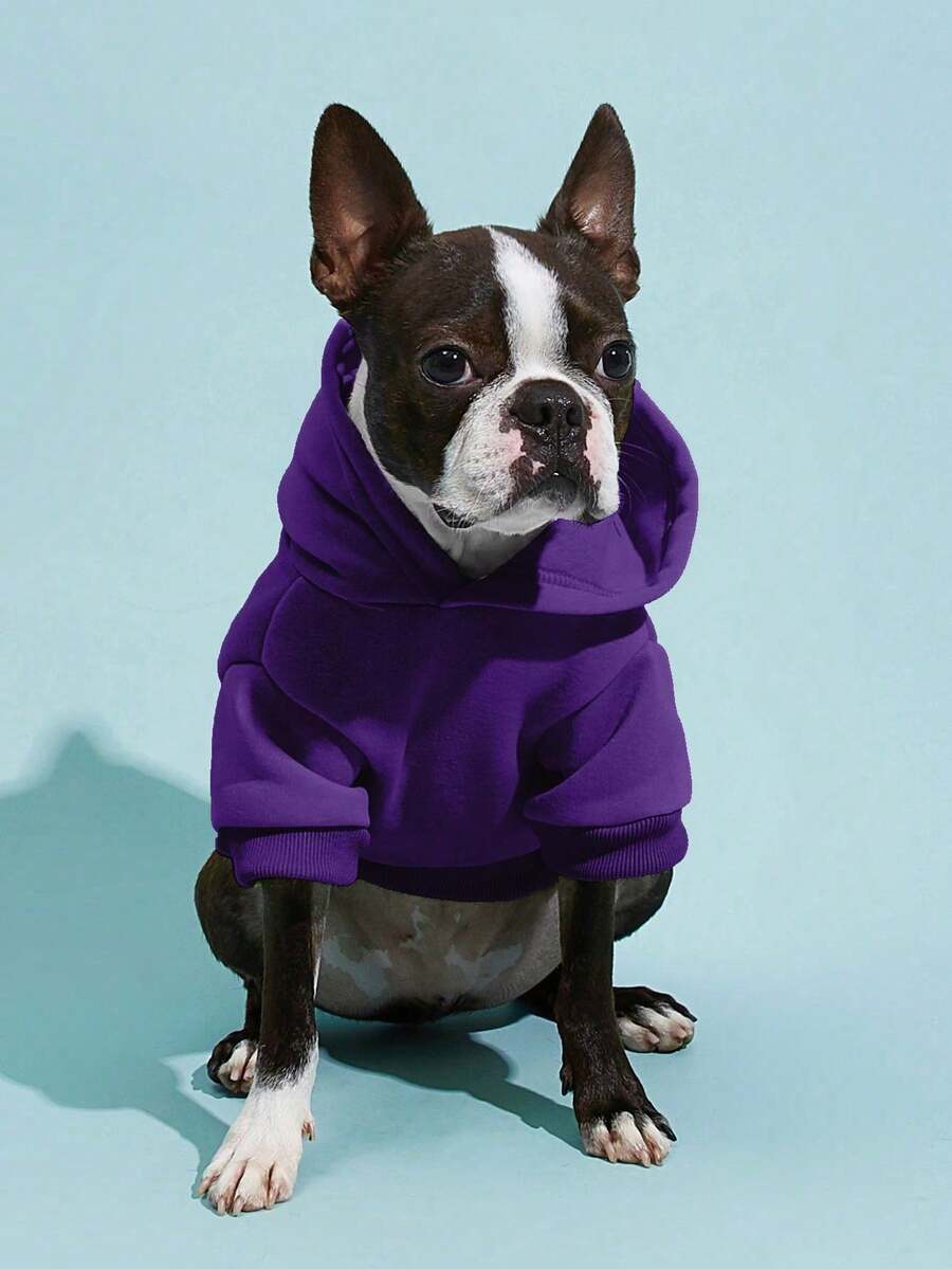 Casual Dog Sweatshirt with Raglan Sleeves and Yellow and Blue Color Blocks, Suitable for Dogs