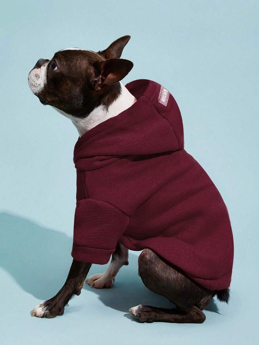 Casual Dog Sweatshirt with Raglan Sleeves and Yellow and Blue Color Blocks, Suitable for Dogs