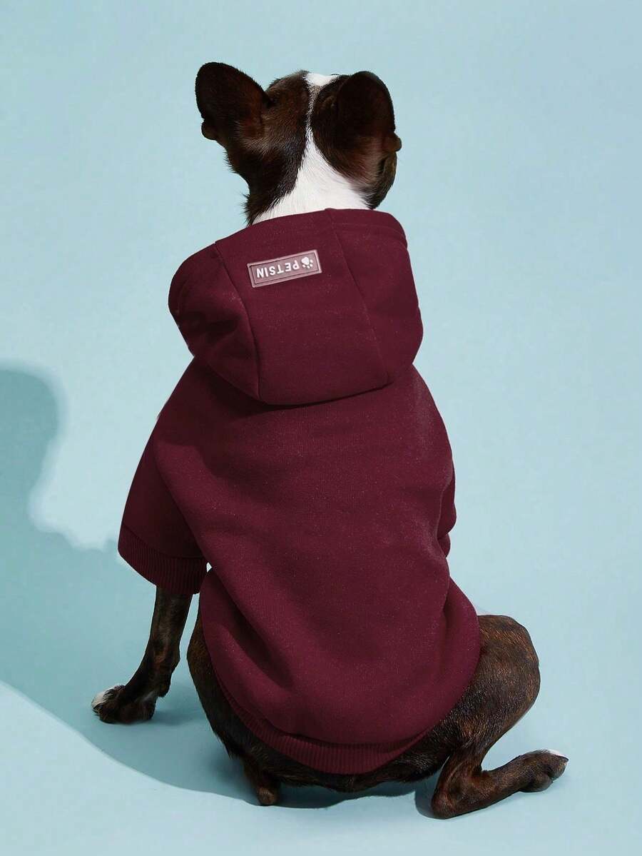 Casual Dog Sweatshirt with Raglan Sleeves and Yellow and Blue Color Blocks, Suitable for Dogs