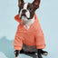 Casual Dog Sweatshirt with Raglan Sleeves and Yellow and Blue Color Blocks, Suitable for Dogs
