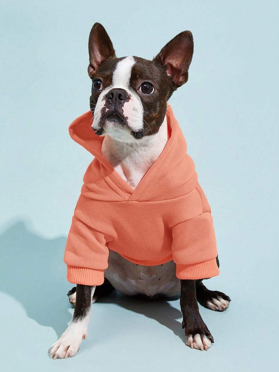 Casual Dog Sweatshirt with Raglan Sleeves and Yellow and Blue Color Blocks, Suitable for Dogs