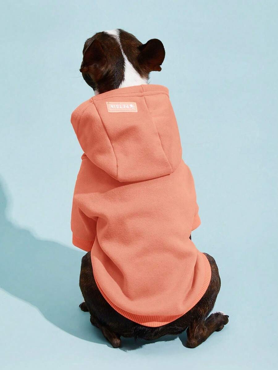 Casual Dog Sweatshirt with Raglan Sleeves and Yellow and Blue Color Blocks, Suitable for Dogs