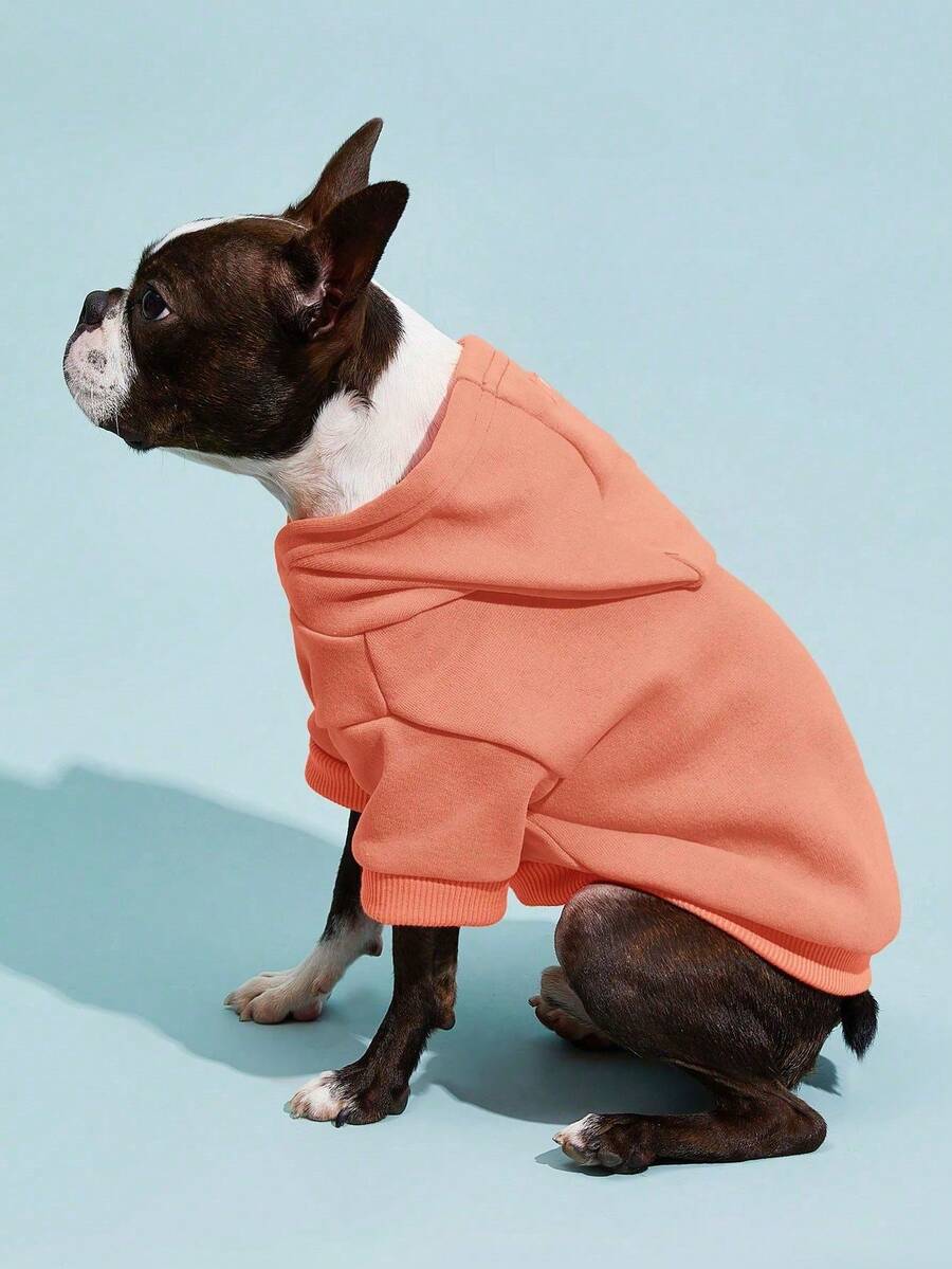 Casual Dog Sweatshirt with Raglan Sleeves and Yellow and Blue Color Blocks, Suitable for Dogs