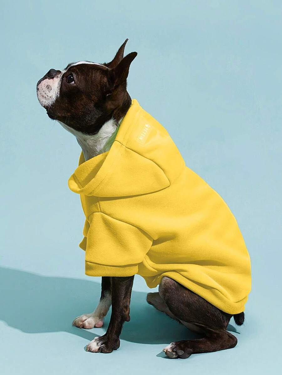 Casual Dog Sweatshirt with Raglan Sleeves and Yellow and Blue Color Blocks, Suitable for Dogs