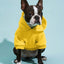 Casual Dog Sweatshirt with Raglan Sleeves and Yellow and Blue Color Blocks, Suitable for Dogs