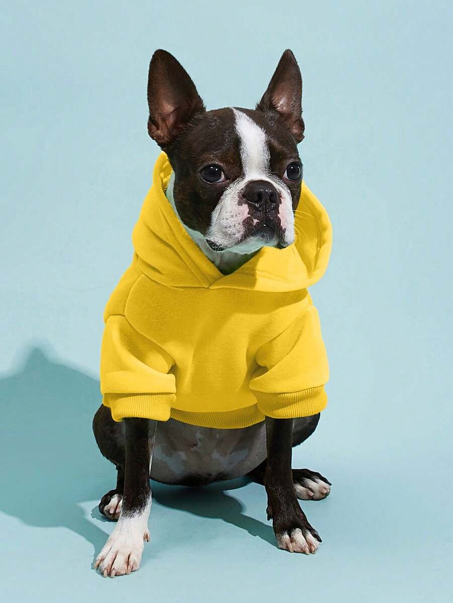 Casual Dog Sweatshirt with Raglan Sleeves and Yellow and Blue Color Blocks, Suitable for Dogs