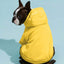 Casual Dog Sweatshirt with Raglan Sleeves and Yellow and Blue Color Blocks, Suitable for Dogs