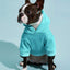 Casual Dog Sweatshirt with Raglan Sleeves and Yellow and Blue Color Blocks, Suitable for Dogs