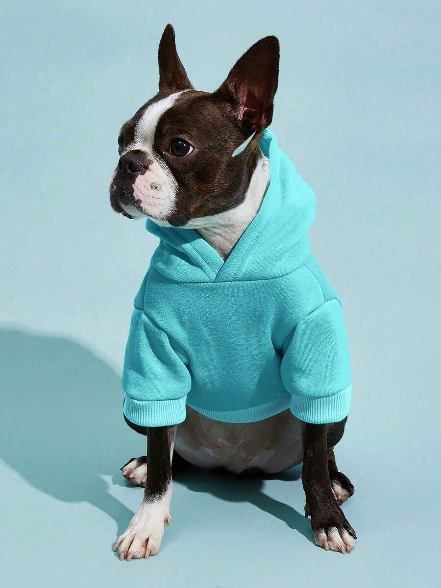 Casual Dog Sweatshirt with Raglan Sleeves and Yellow and Blue Color Blocks, Suitable for Dogs
