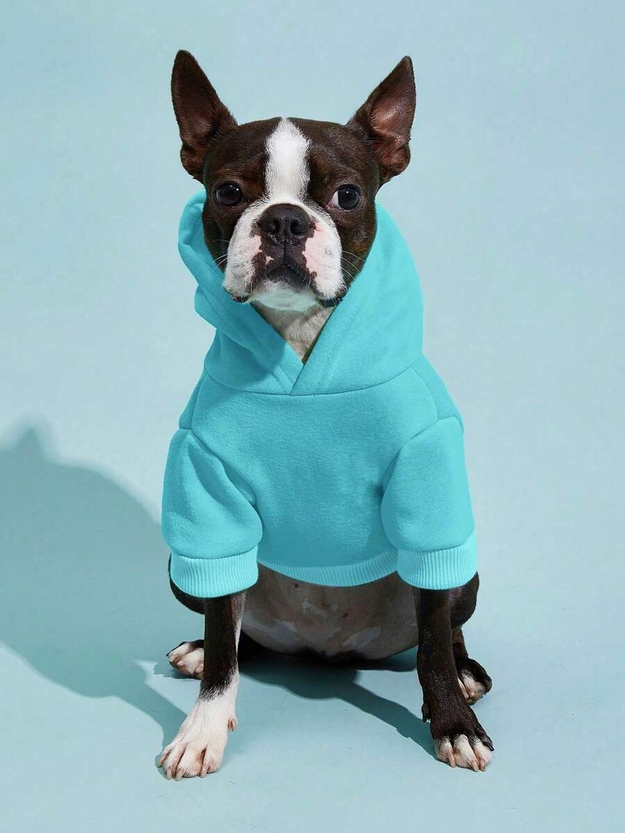 Casual Dog Sweatshirt with Raglan Sleeves and Yellow and Blue Color Blocks, Suitable for Dogs