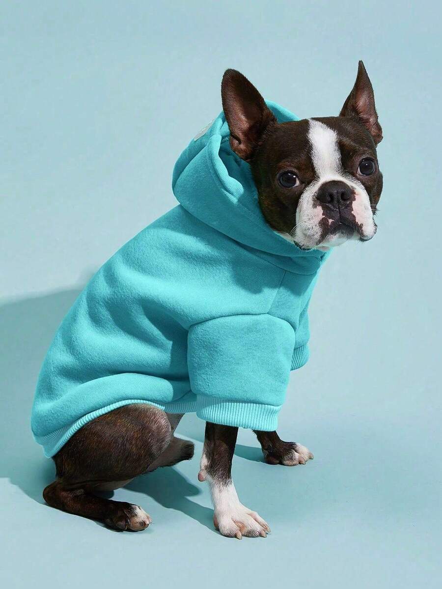 Casual Dog Sweatshirt with Raglan Sleeves and Yellow and Blue Color Blocks, Suitable for Dogs