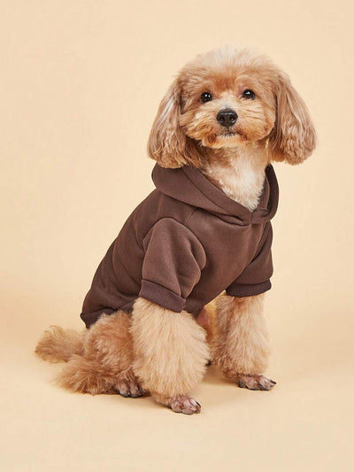 Casual Dog Sweatshirt with Raglan Sleeves and Yellow and Blue Color Blocks, Suitable for Dogs