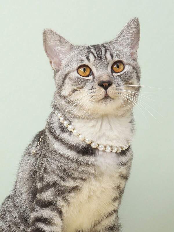 Elegant and fashionable rhinestone claw pendant necklace, suitable for cats and dogs, for wearing at home and outdoors.