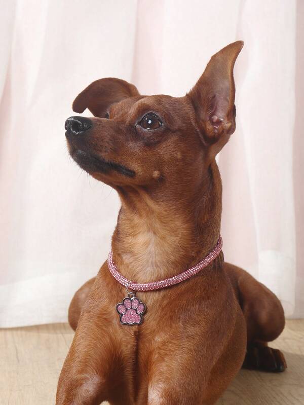 Elegant and fashionable rhinestone claw pendant necklace, suitable for cats and dogs, for wearing at home and outdoors.