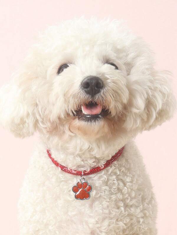 Elegant and fashionable rhinestone claw pendant necklace, suitable for cats and dogs, for wearing at home and outdoors.