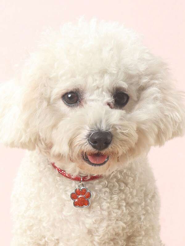 Elegant and fashionable rhinestone claw pendant necklace, suitable for cats and dogs, for wearing at home and outdoors.