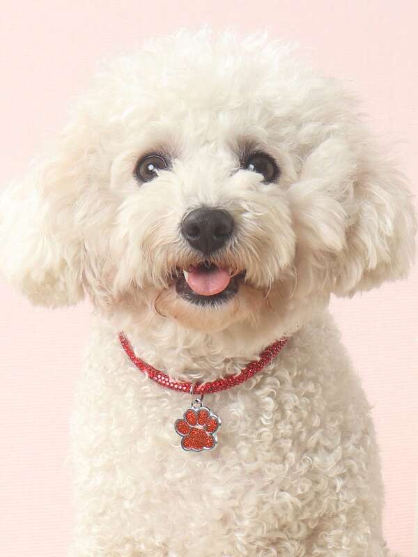 Elegant and fashionable rhinestone claw pendant necklace, suitable for cats and dogs, for wearing at home and outdoors.