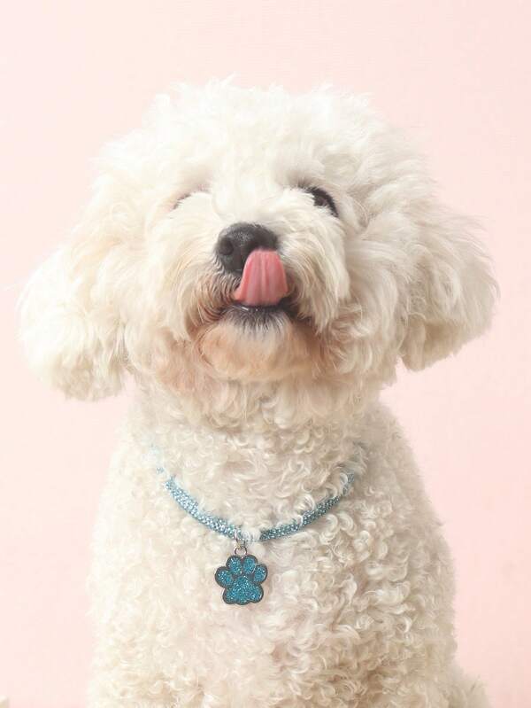 Elegant and fashionable rhinestone claw pendant necklace, suitable for cats and dogs, for wearing at home and outdoors.