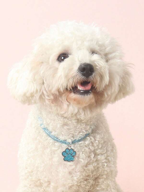 Elegant and fashionable rhinestone claw pendant necklace, suitable for cats and dogs, for wearing at home and outdoors.