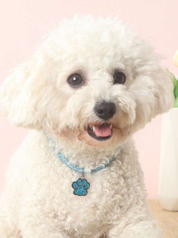 Elegant and fashionable rhinestone claw pendant necklace, suitable for cats and dogs, for wearing at home and outdoors.