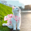 Princess style pet dress with leash (kittens/puppies), suitable for Munchkin, Ragdoll, Scottish Fold, Poodle, Samoyed, with built-in leash.