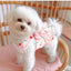 Princess style pet dress with leash (kittens/puppies), suitable for Munchkin, Ragdoll, Scottish Fold, Poodle, Samoyed, with built-in leash.