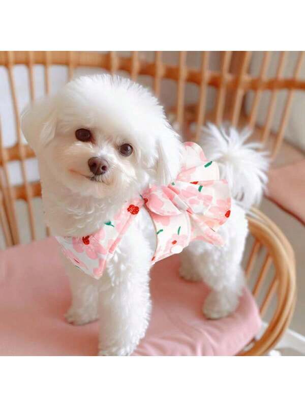 Princess style pet dress with leash (kittens/puppies), suitable for Munchkin, Ragdoll, Scottish Fold, Poodle, Samoyed, with built-in leash.
