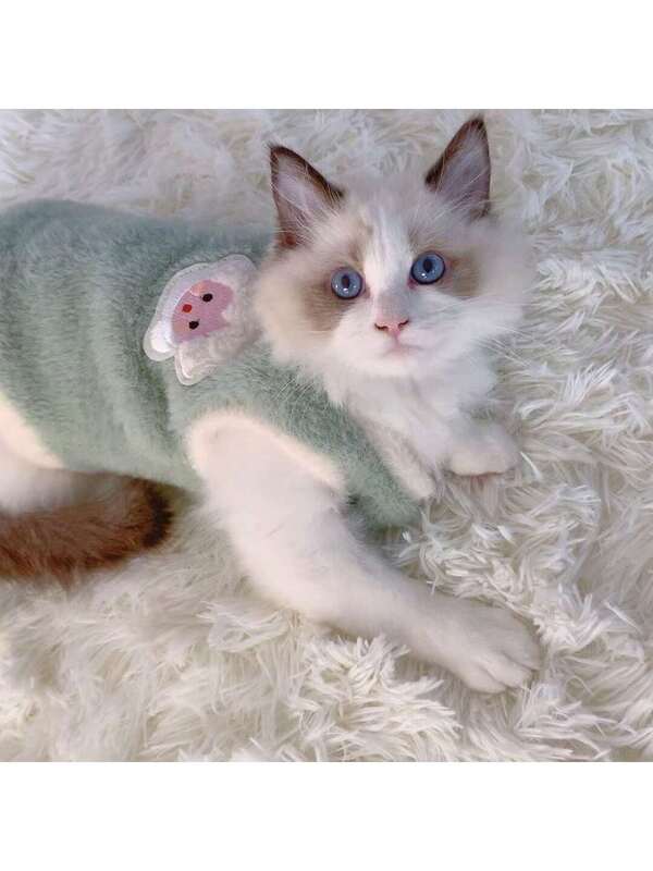 Ultra-Soft "Sunny Side Up" Fleece Vest: Cozy Autumn &amp; Winter Cat Apparel