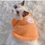 Ultra-Soft "Sunny Side Up" Fleece Vest: Cozy Autumn &amp; Winter Cat Apparel