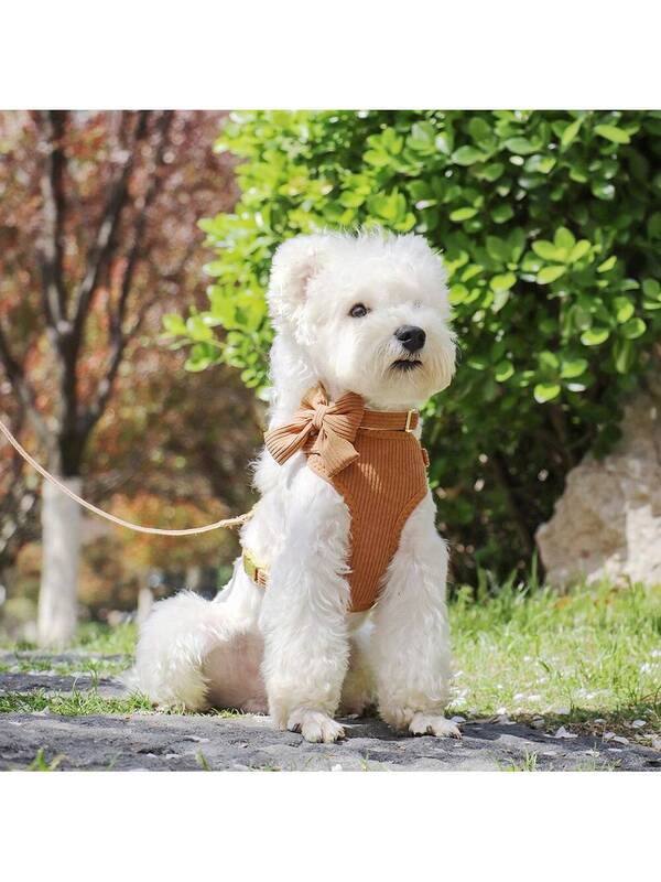 Luxury Corduroy Pet Set: Harness, Bowtie Collar & Leash Combo
