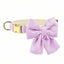 Luxury Corduroy Pet Set: Harness, Bowtie Collar & Leash Combo