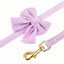 Luxury Corduroy Pet Set: Harness, Bowtie Collar & Leash Combo