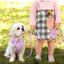 Luxury Corduroy Pet Set: Harness, Bowtie Collar & Leash Combo