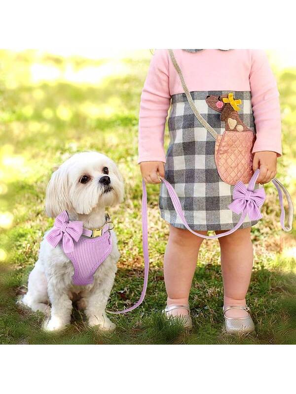 Luxury Corduroy Pet Set: Harness, Bowtie Collar & Leash Combo