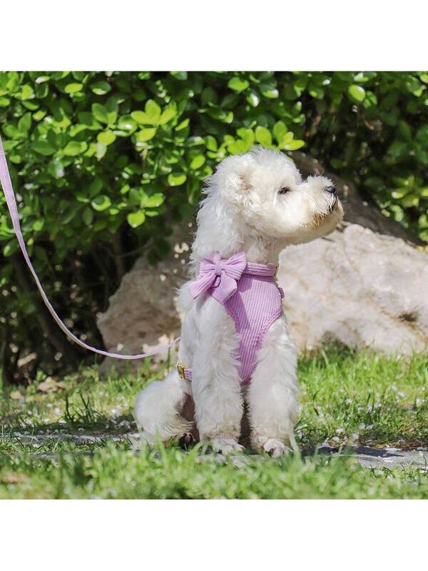 Luxury Corduroy Pet Set: Harness, Bowtie Collar & Leash Combo